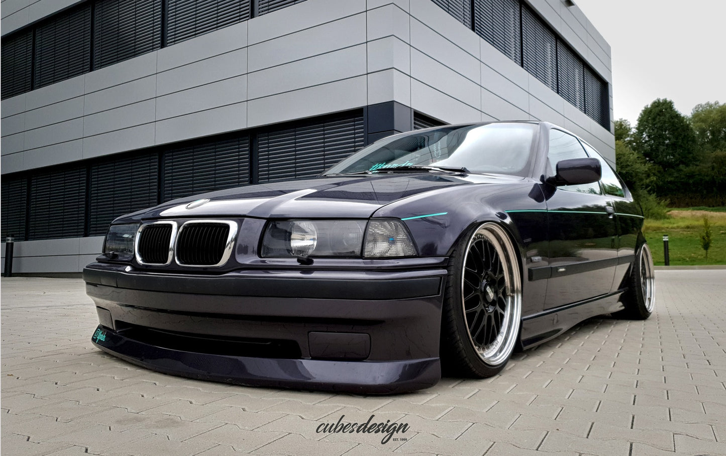 BMW High Performance Air Struts