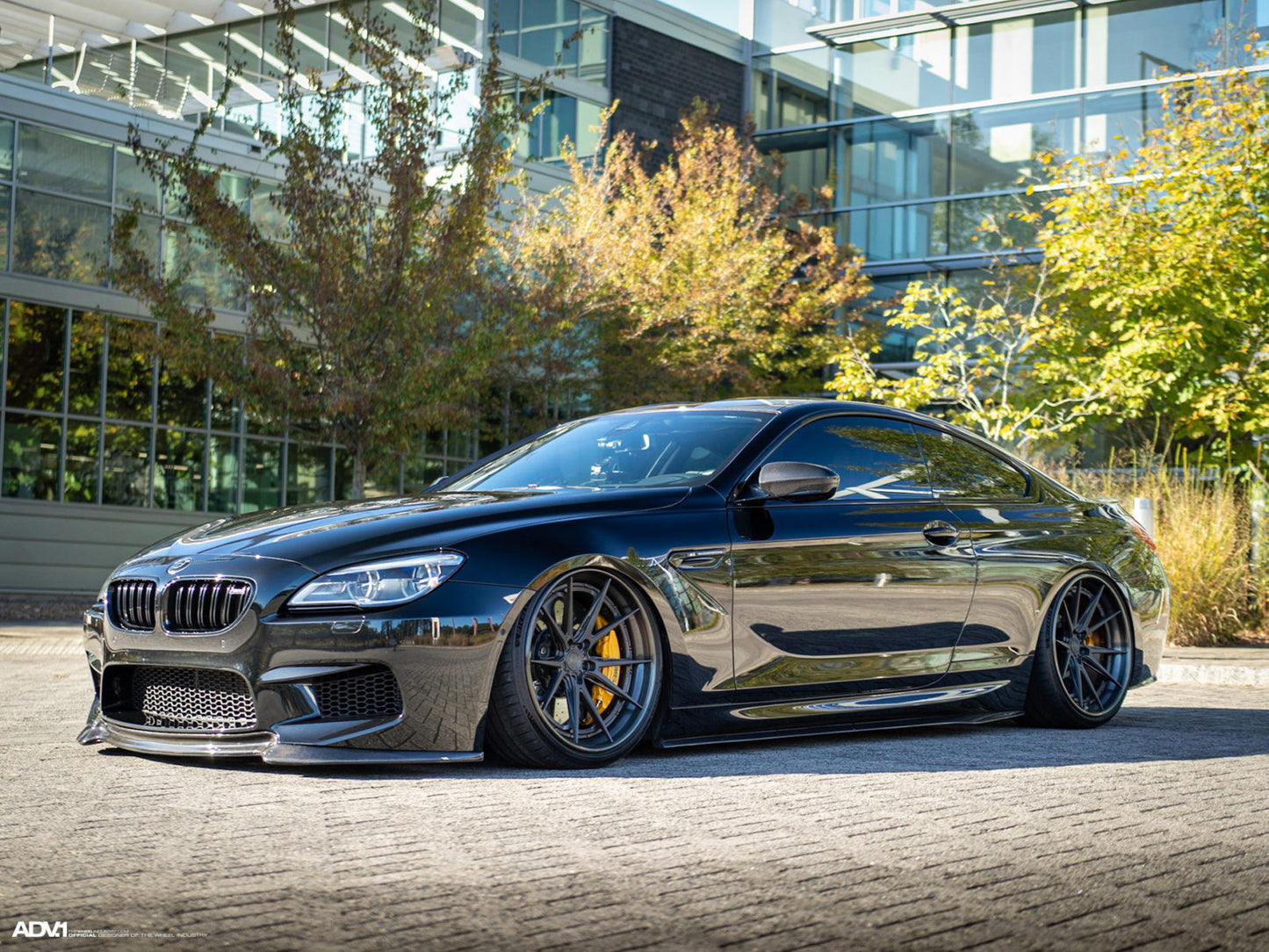 BMW High Performance Air Struts